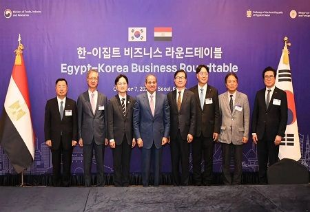 Egypt, South Korea Move to Expand Strategic Partnership